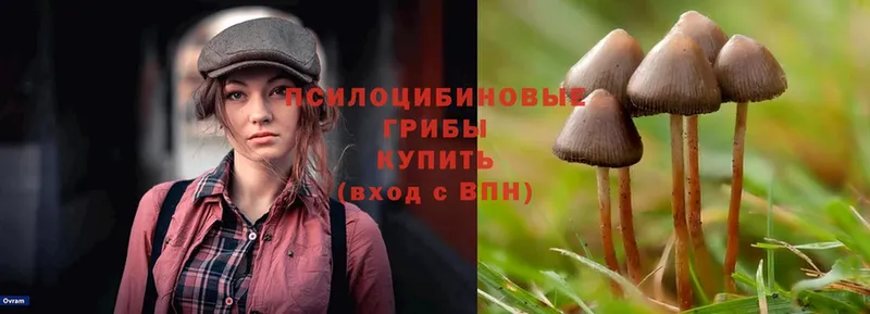 Псилоцибиновые грибы Magic Shrooms  Североморск 